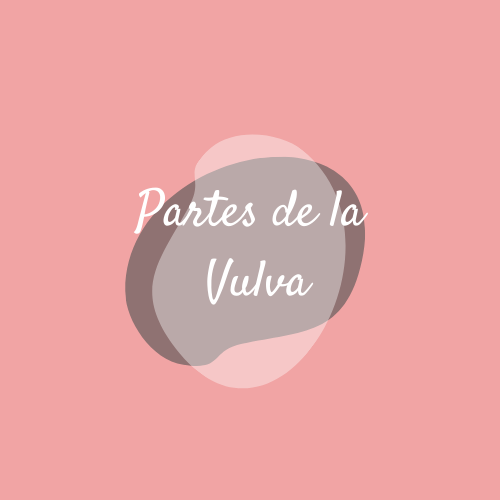 Partes de la Vulva