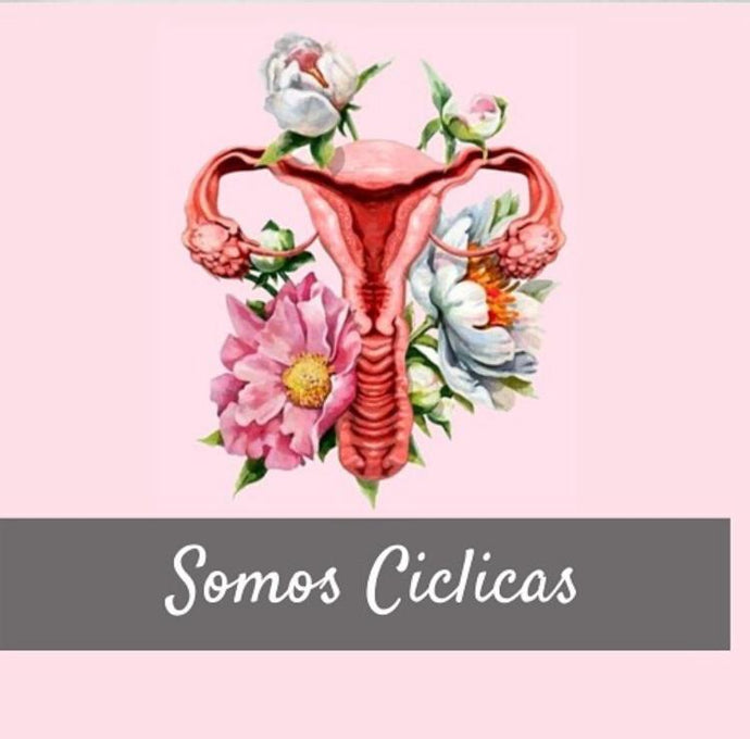 Somos Cíclicas